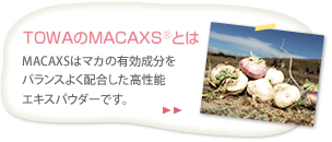 TOWAのMACAXS®とは・・・MACAXS®はマカの有効成分をバランスよく配合した高性能エキスパウダーです。